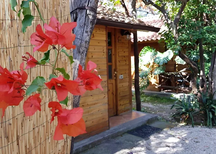 Economy Bungalow